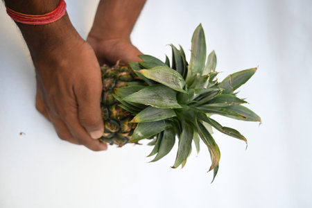 Pineapple or Ananas comosus on white background. It is aÂ tropical plantÂ with an edible fruit....