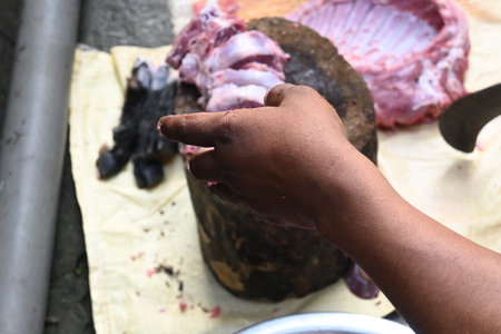 Chopping goat meat. Fresh raw or uncooked goats mutton cutting from Traditional iron tool in Indian village life. chopping goat meat into small pieces.の写真素材