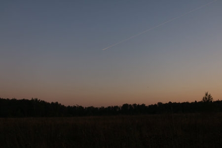 Sunset in the field. Silhouettes of trees on the horizon.の写真素材