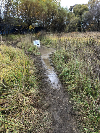 Autumn landscape with a path through the meadow and a sign.の写真素材