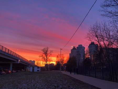Sunset in the city park. Beautiful sunset over the city.の写真素材