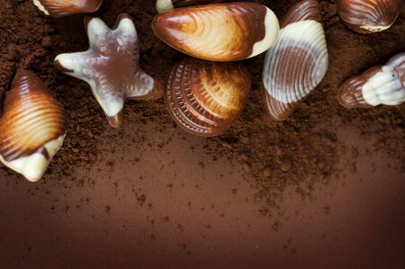 Chocolate Seashells borderの写真素材