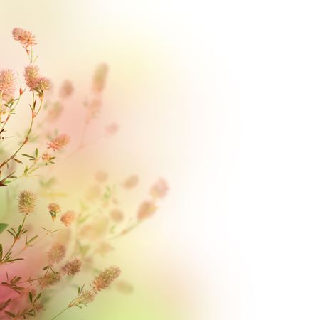 Beautiful Pastel Floral Border.Over white.の写真素材