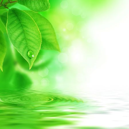 Beautiful Nature Scene の写真素材