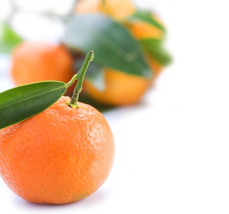 Ripe Tangerines with leavesの写真素材