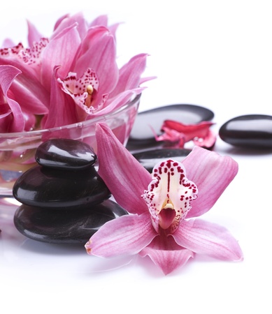 Spa Stones and Orchid flowers over whiteの写真素材