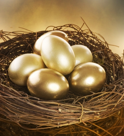 Golden Nest Eggsの写真素材