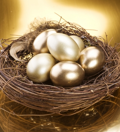 Golden Nest Eggsの写真素材