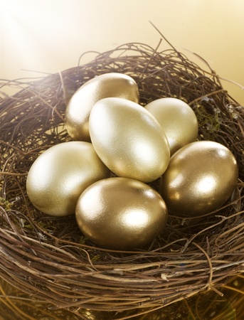 Golden Nest Eggsの写真素材