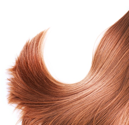 Healthy Brown Hair isolated on white の写真素材