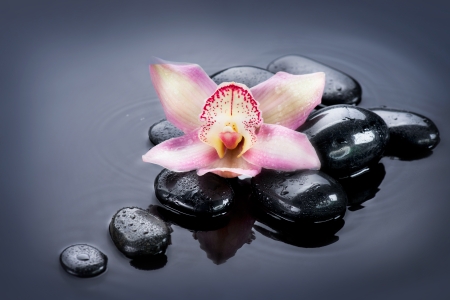 Spa Zen Stones の写真素材