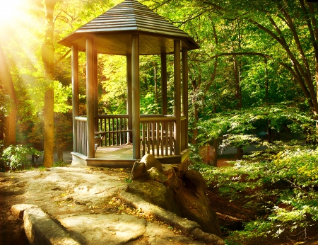 Arbor in Autumnal Park  Landscaping の写真素材