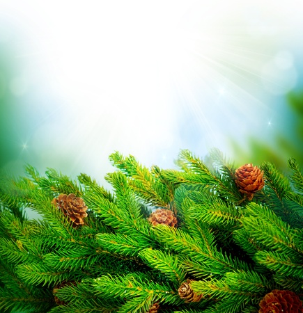 Christmas Tree Border Designの写真素材