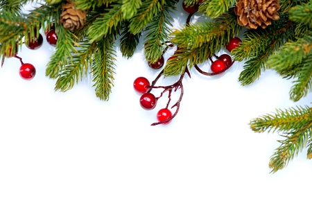 Christmas Tree Border Design Isolated on white の写真素材