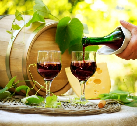 Red Wine and Cheese  Romantic Lunch Outdoorの写真素材