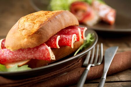 Sandwich with Salami の写真素材