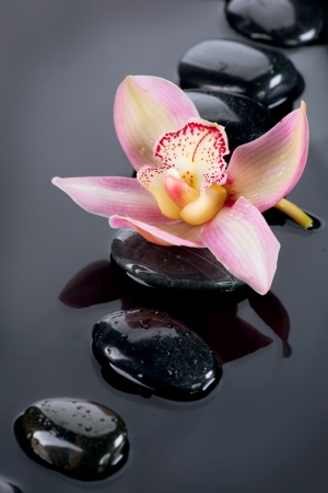 Spa Stones and Orchid Flower over Dark Background の写真素材