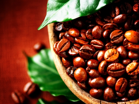 Coffee beans  Bowl of Aromatic Coffee close-upの写真素材