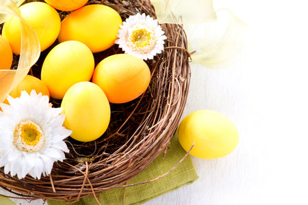 Easter  Painted Easter Eggs and Spring Flowers in the Nest 