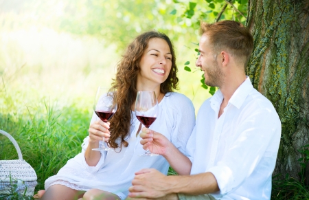 Picnic  Young Couple relaxing and drinking Wine in a Park の写真素材