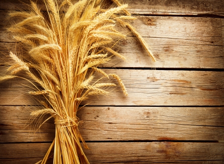 Wheat Ears on the Wooden Table  Harvest concept の写真素材