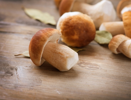 Mushroom Boletus over Wooden table の写真素材