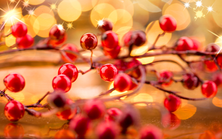 Christmas berries. New Year decorations over golden backgroundの写真素材