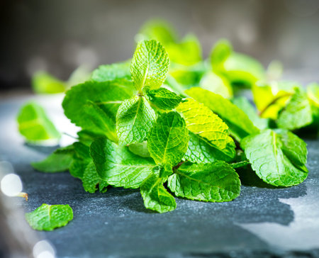 Mint. Fresh mint on a table closeup