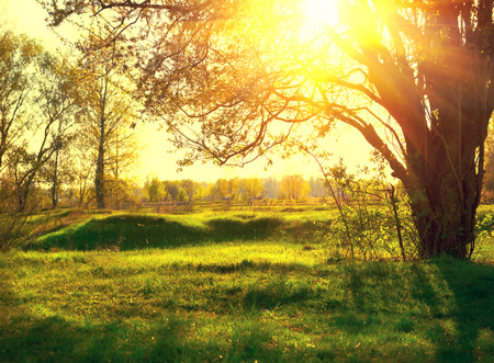 Nature landscape. Sunset scene Nature landscape. Sunset scene