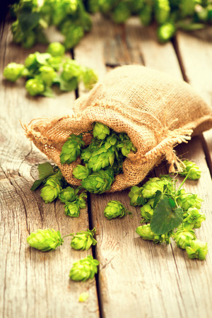 Hop in bag on wooden cracked old table. Brewing. Ingredient for brewing beer. Beauty fresh-picked hop cones closeup. Sack of hops on vintage background. Retro style. Alternative medicine. Beer concept. Vertical photoの写真素材