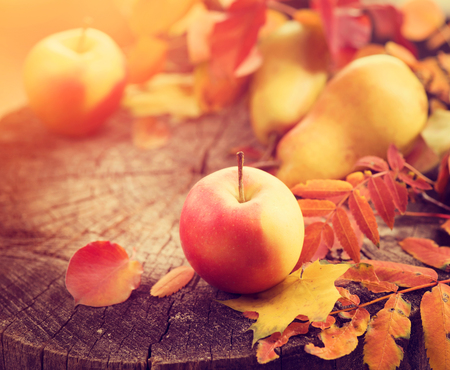 Thanksgiving background. Autumn background with colorful leaves, apples and pearsの写真素材
