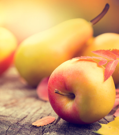 Thanksgiving background. Autumn background with colorful leaves, apples and pearsの写真素材