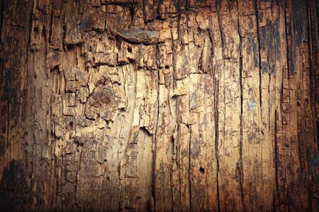 Old wooden cracked backgroundの写真素材