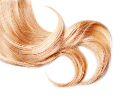 Curl of healthy blond hair isolated on whiteの写真素材