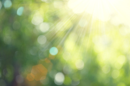 Beautiful nature blurred background. Green bokehの写真素材