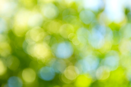 Beautiful nature blurred background. Green bokehの写真素材
