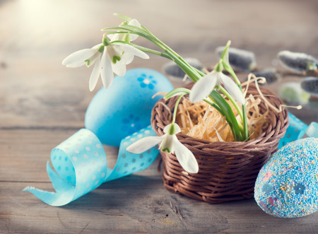 Easter Concept. Colorful blue eggs and spring snowdrop flowers over wooden backgroundの写真素材