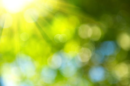 Beautiful nature blurred background. Green bokehの写真素材
