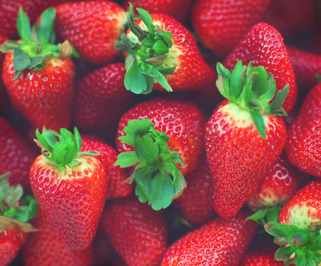 Fresh and ripe organic strawberries. Strawberry backgroundの写真素材