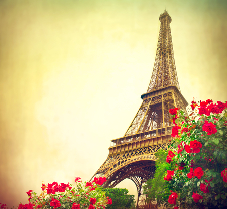 Eiffel Tower at sunrise, Paris, Franceの写真素材
