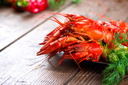 Crayfish. Red boiled crawfish on a wooden table in rustic styleの写真素材