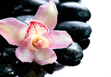 Spa stones and orchid flower on a white backgroundの写真素材