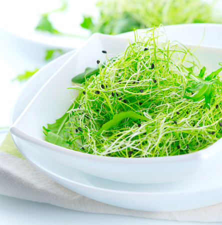 Microgreens. Healthy Green Saladの写真素材