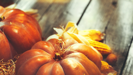 Thanksgiving Day. Autumn Thanksgiving pumpkins over wooden backgroundの写真素材
