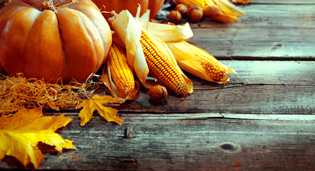 Thanksgiving Day. Autumn Thanksgiving pumpkins over wooden backgroundの写真素材