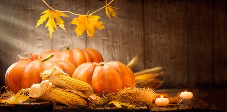 Thanksgiving Day. Autumn Thanksgiving pumpkins over wooden backgroundの写真素材