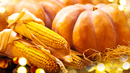 Thanksgiving Day background. Autumn pumpkins and corn. Harvestの写真素材