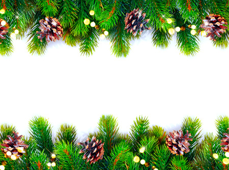 Christmas tree with cones border isolated on a white backgroundの写真素材