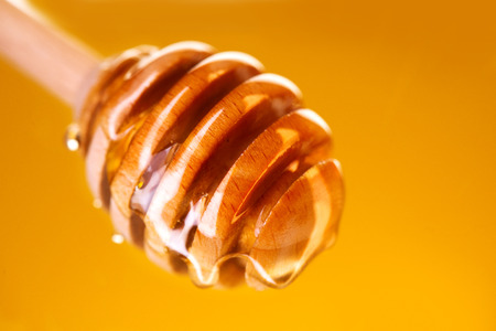 Honey dripping from honey dipper isolated on yellow. Thick honey dipping from the wooden honey spoonの写真素材