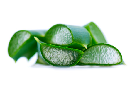 Aloe Vera closeup Isolated on white background. Aloevera natural organic renewal cosmetics, alternative medicine. Skin care conceptの写真素材